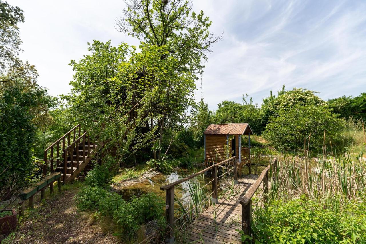 Villa Clos Des Fontaines - Chalet à Venasque Extérieur photo